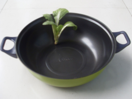 食品模具